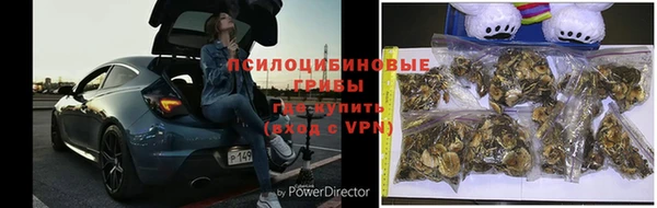 МДПВ Лиски