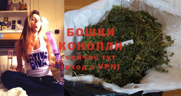 МДПВ Лиски