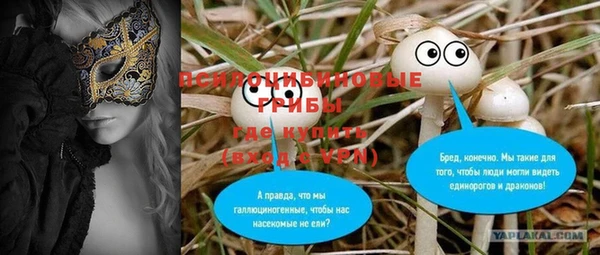 МДПВ Лиски