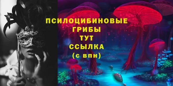 2c-b Липки