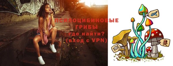 спайс Новодвинск