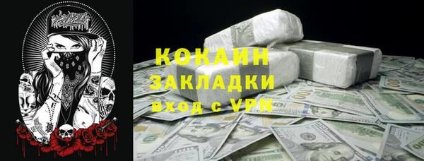 МДПВ Лиски