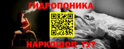 кокс Нарткала